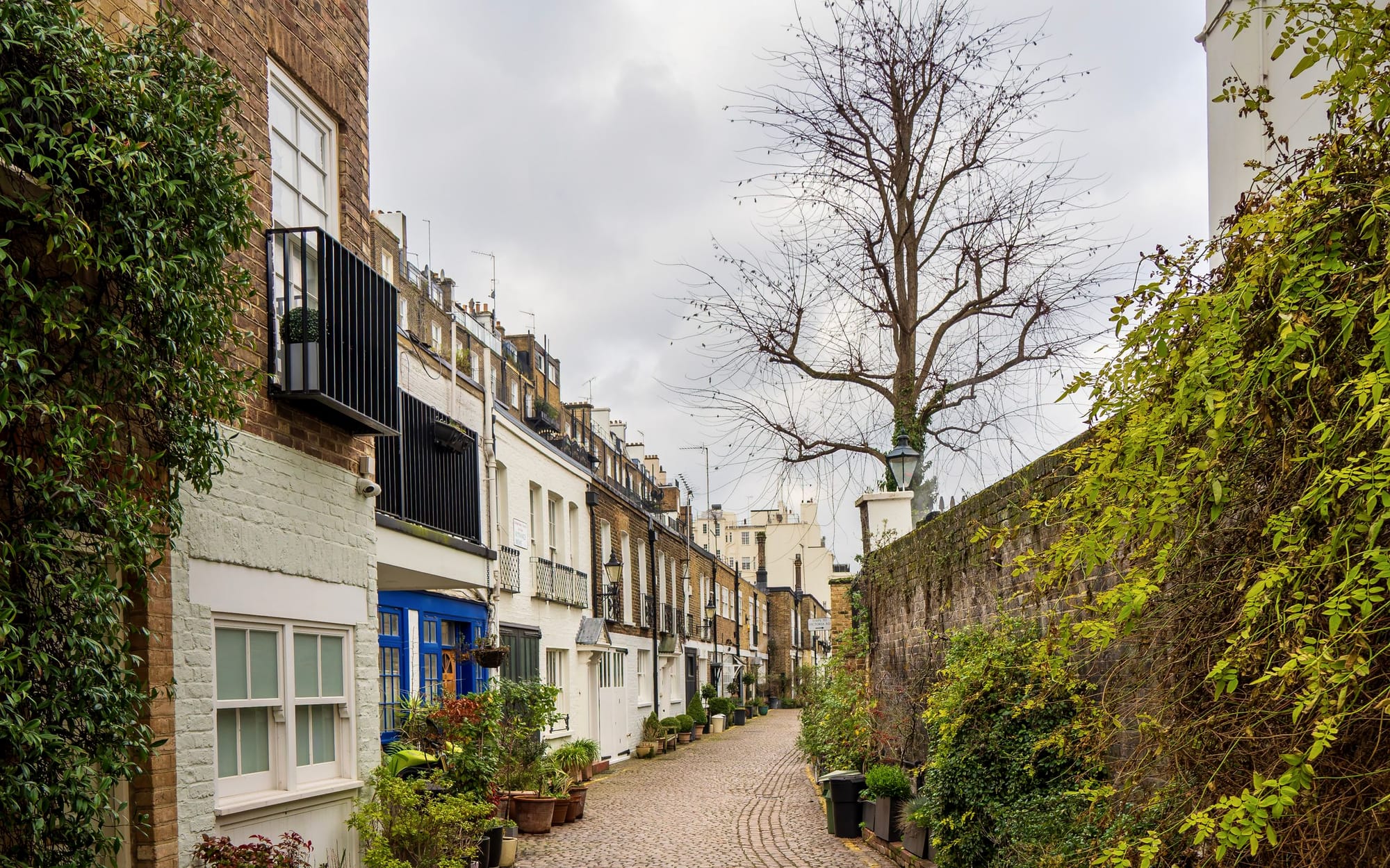 A Chelsea mews of brick houses and window boxes